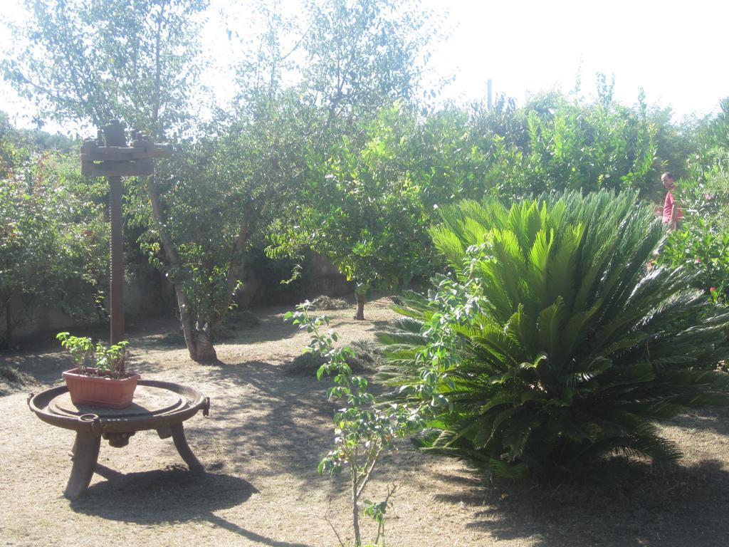 B&B Vaiana Maida Exterior photo