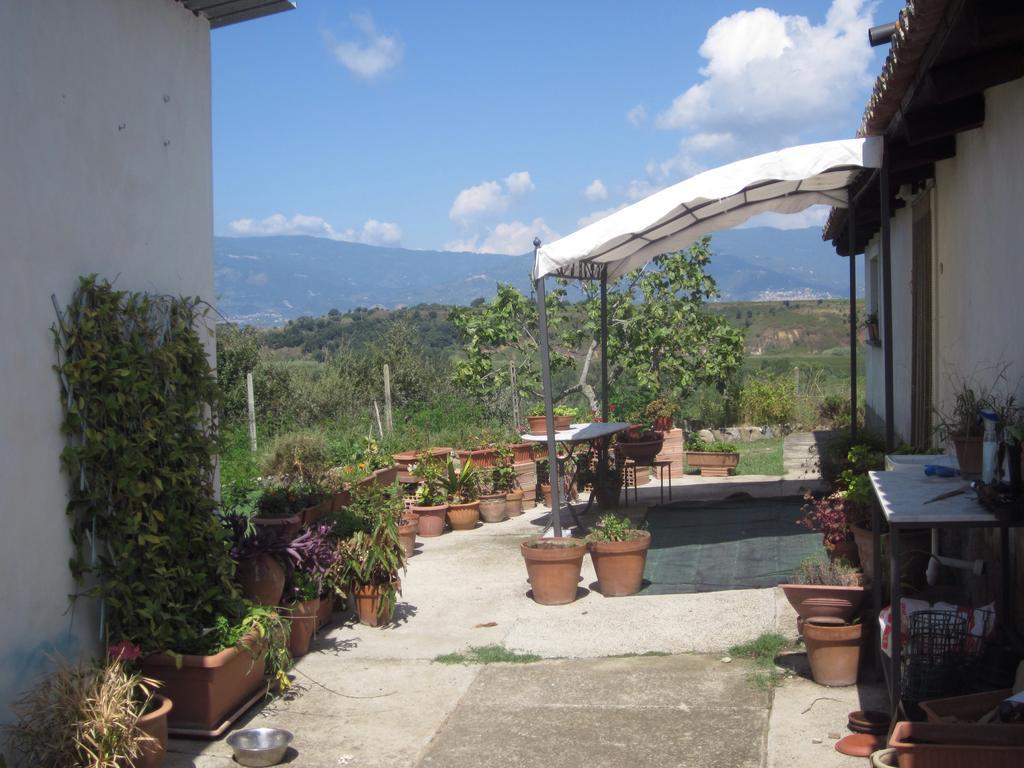 B&B Vaiana Maida Exterior photo