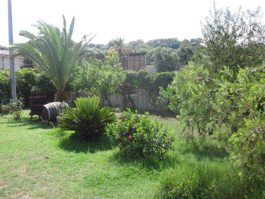 B&B Vaiana Maida Exterior photo